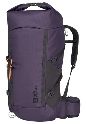 Sac À Dos De Randonnée Jack Wolfskin Cyrox Shape 30 S-l Femme Violette | 68839714