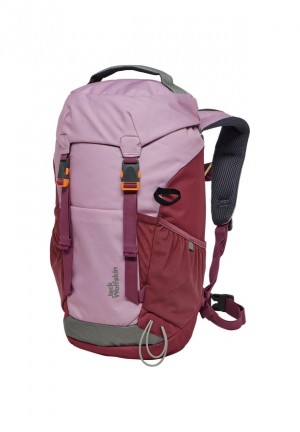 Sacs À Dos Jack Wolfskin Waldspieler 20 Homme Rose | 21414266