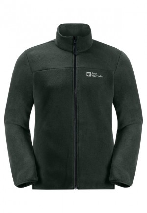 Vestes Jack Wolfskin Taubenberg 3in1 Homme Vert | 19458230