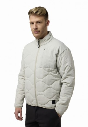 Vestes Jack Wolfskin Wandersome Ins Homme Grise | 54070718